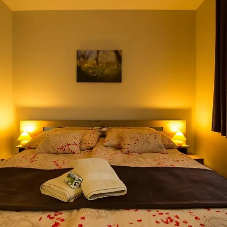 Bodzahaz Apartment